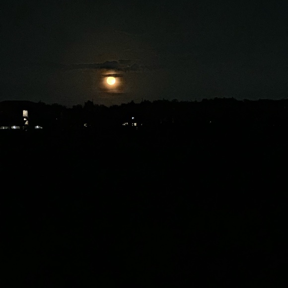 NEW LISTINGS WEEKLY!!! Hello gorgeous, I’m a Posh Mentor! - Picture 5 of 11